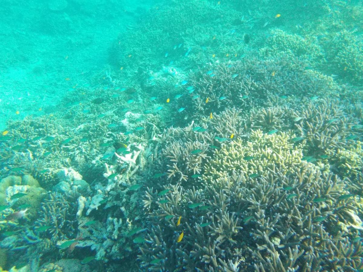 II Bungalow Gili Meno Kültér fotó